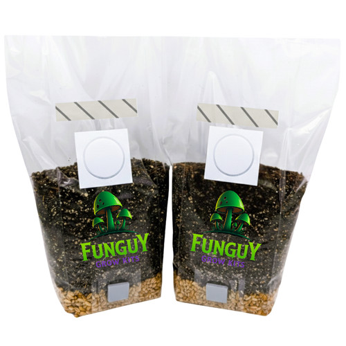 Pack all in - 2-pack,