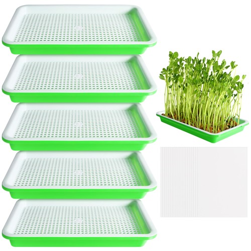 Pack bpa free - pack,
