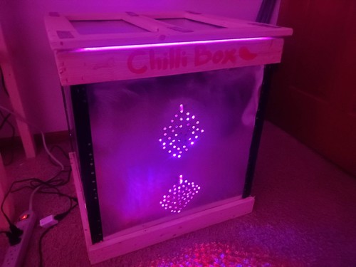 Indica hydroponic grow box - hydroponic, kit