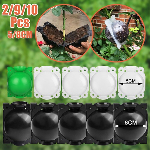10pcs plant rooting - 10pcs,