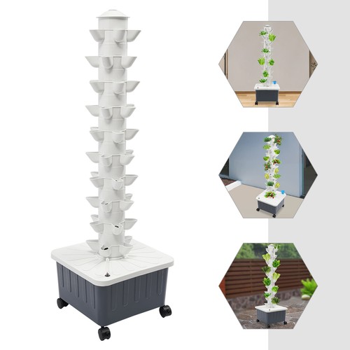 Plant vertical vegetable - 50-plant,