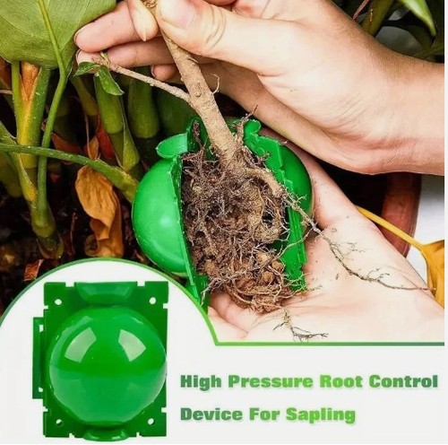 8pcs plant rooting - 8pcs,